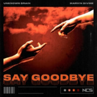 Unknown Brain - Say Goodbye