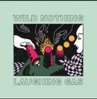 Wild Nothing - Foyer